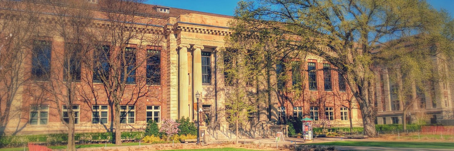 Walter Library banner