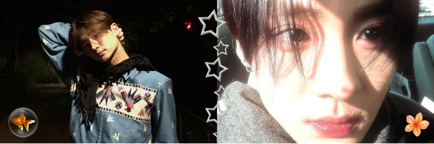 laviolahae 💫's banner