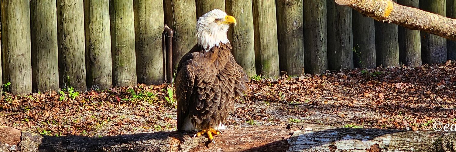 BoonInFL's profile banner image