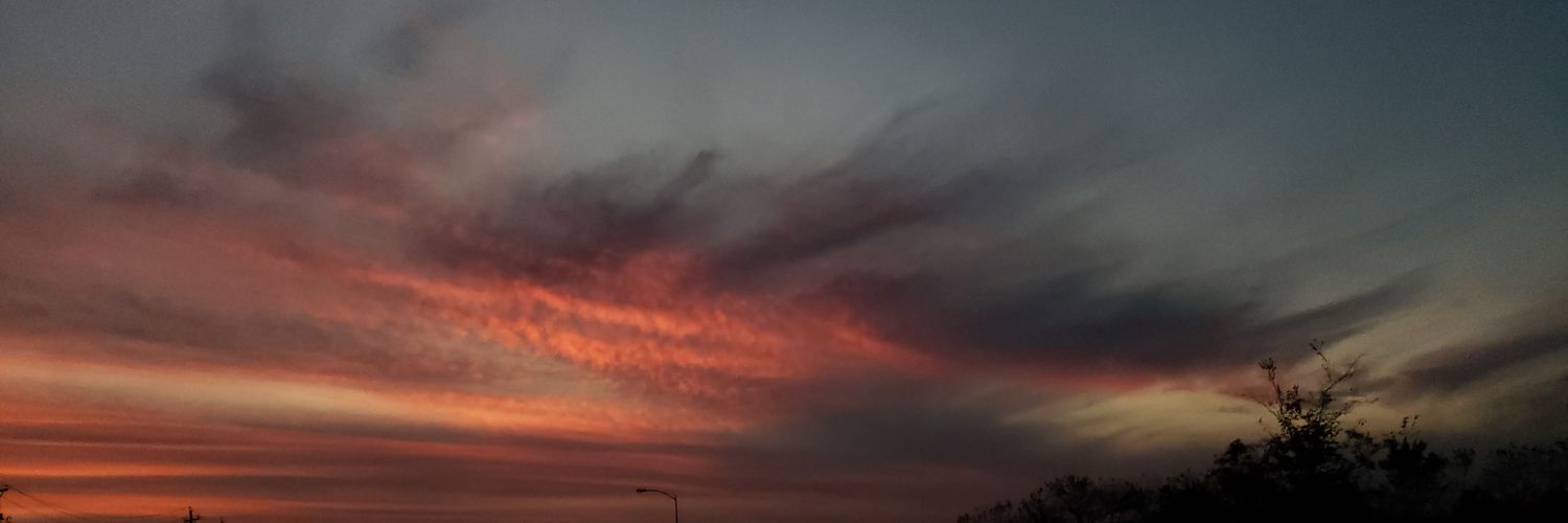 purplejules's profile banner image