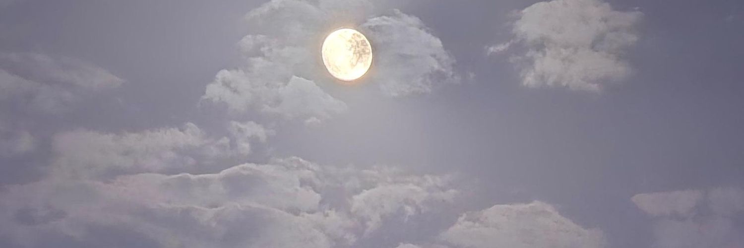 Manndoob's profile banner image