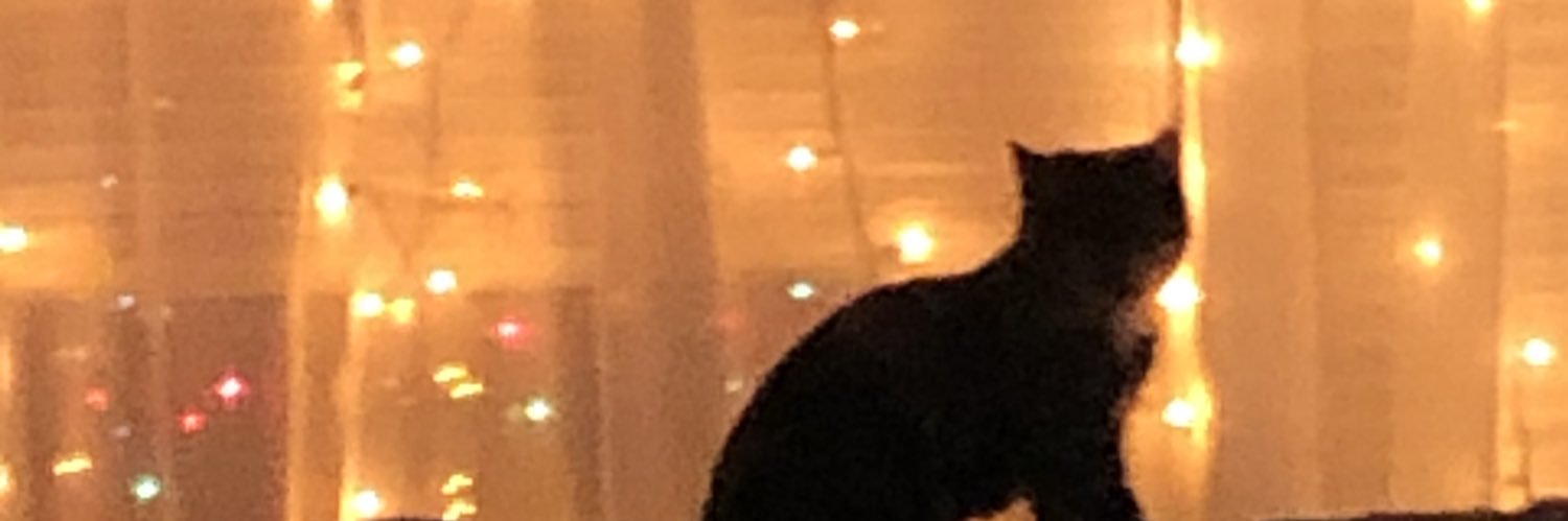 abbyshackley's profile banner image