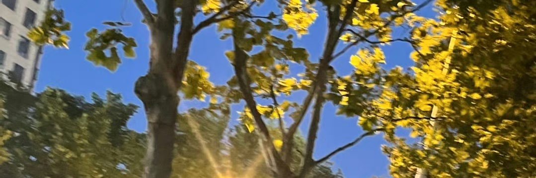 清水鱼🐟 banner