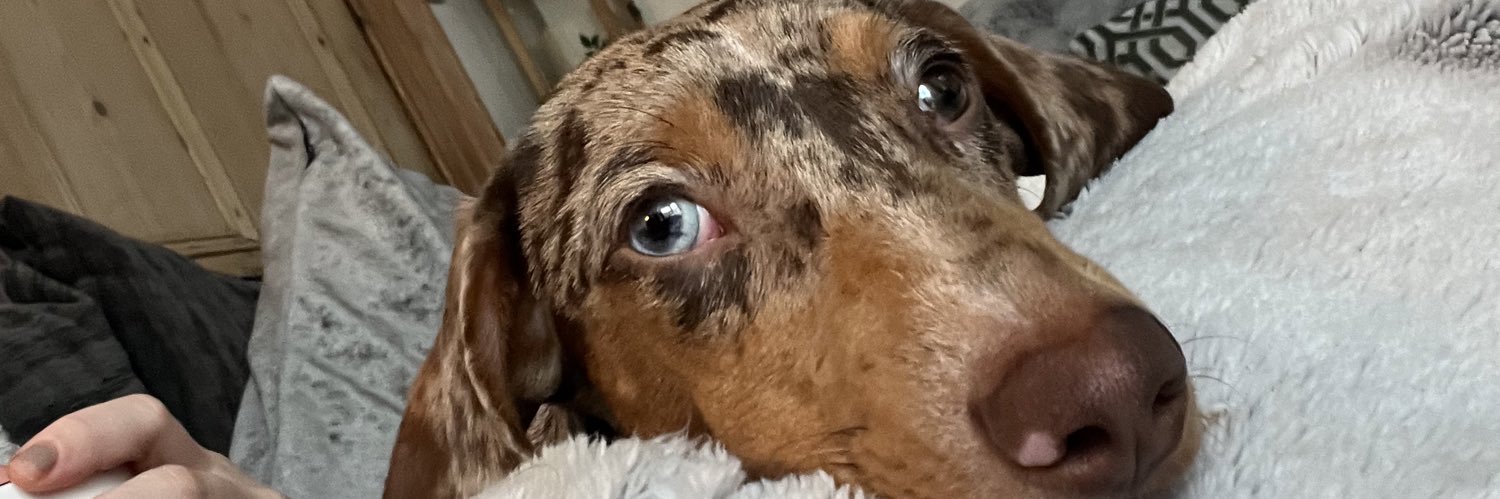 megaaanbirch's profile banner image