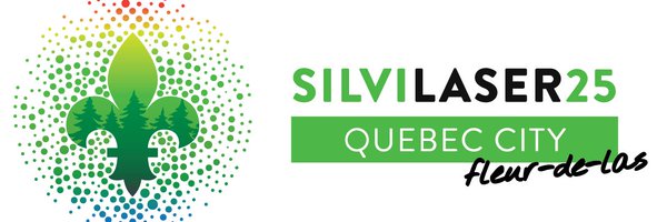Silvilaser25 Profile Banner