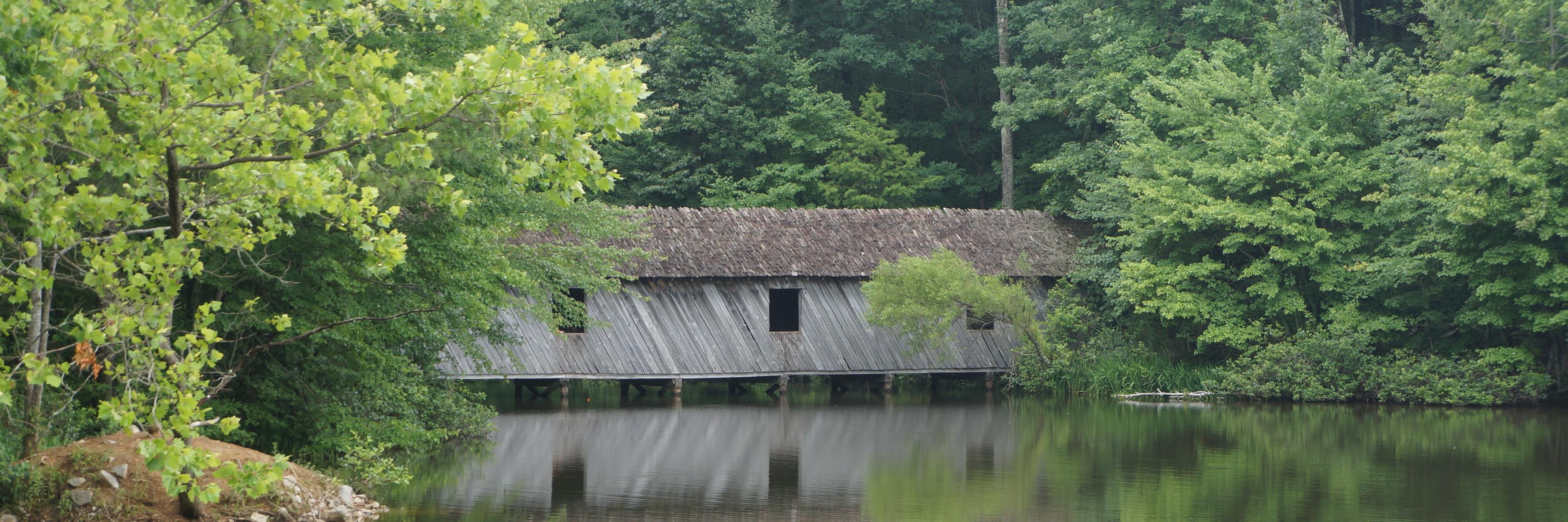 Elisa Ferrell banner