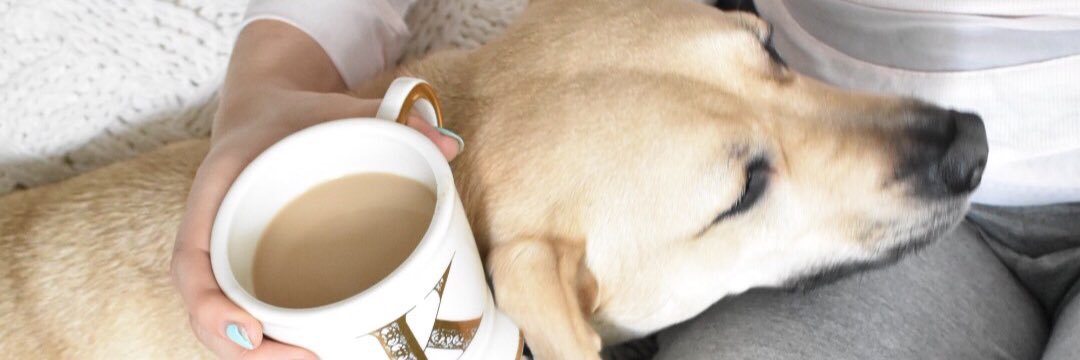 KayRae20's profile banner image