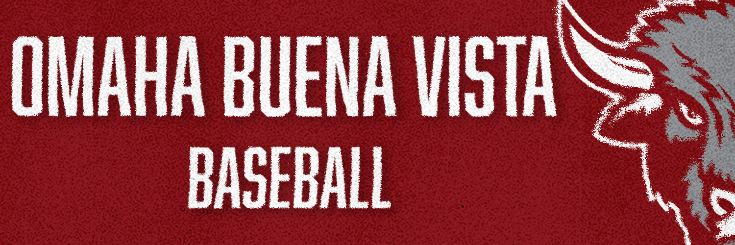 Buena Vista Baseball/ Post #331 banner