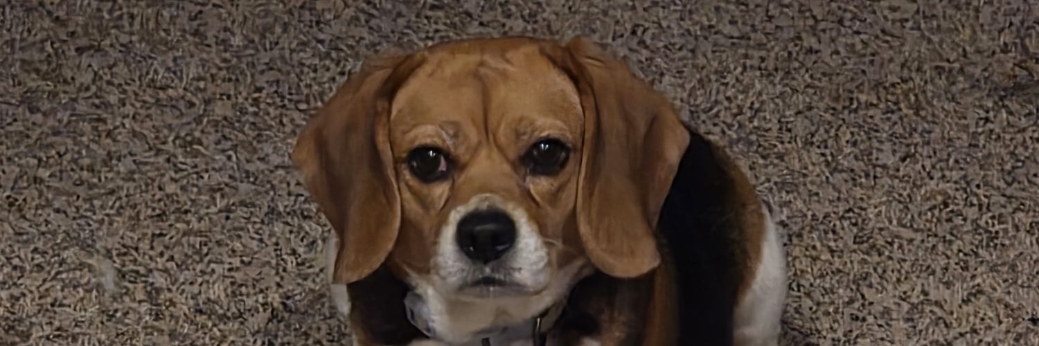 _SQuInTs__'s profile banner image