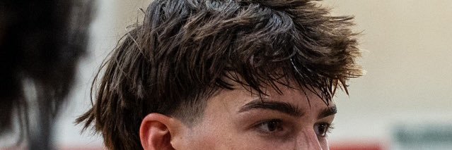 nick andreotti banner