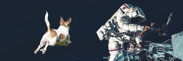 funambulator Profile Banner