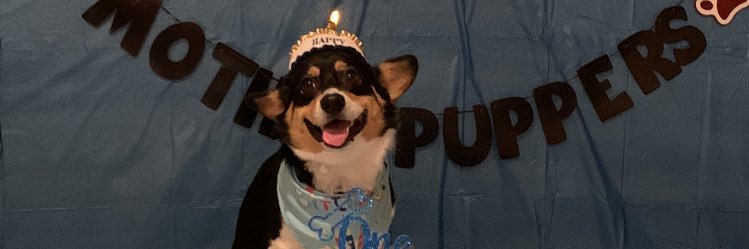 HeyImVanessa's profile banner image