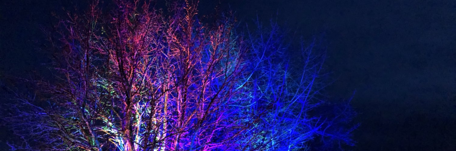 Nazende GündayTüreli banner