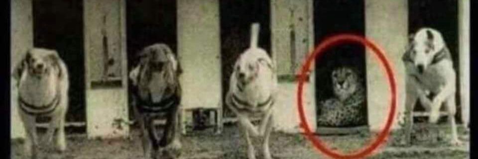uusseerr1947's profile banner image