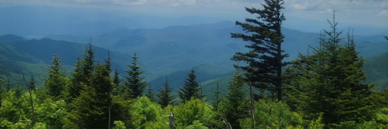 edtechteach77's profile banner image