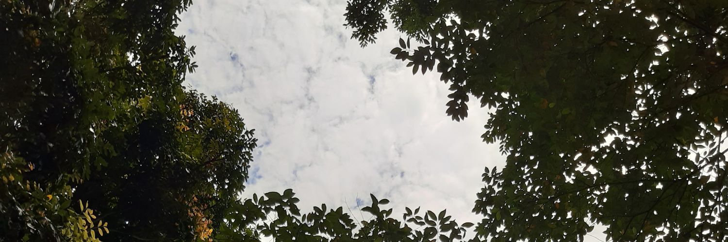 mirashr_'s profile banner image