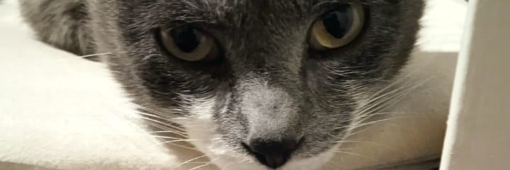EstebanArra's profile banner image