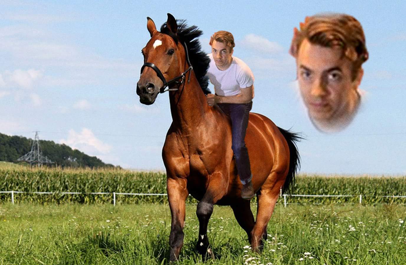PhilipDKramer's profile banner image