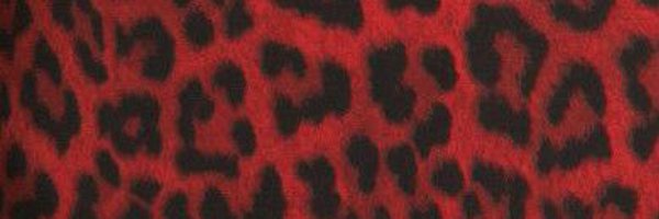 STARTARIOTTTTT Profile Banner