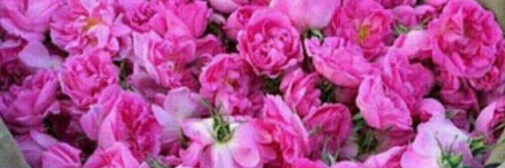 M1_OD's profile banner image