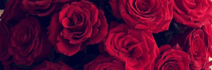32Meraaa's profile banner image