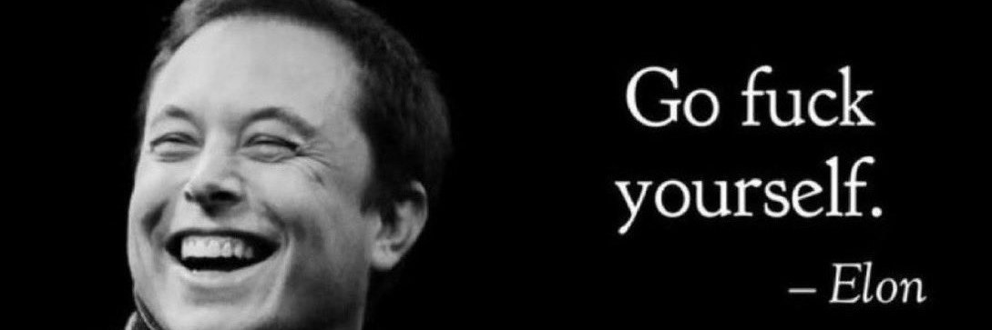PADDY banner