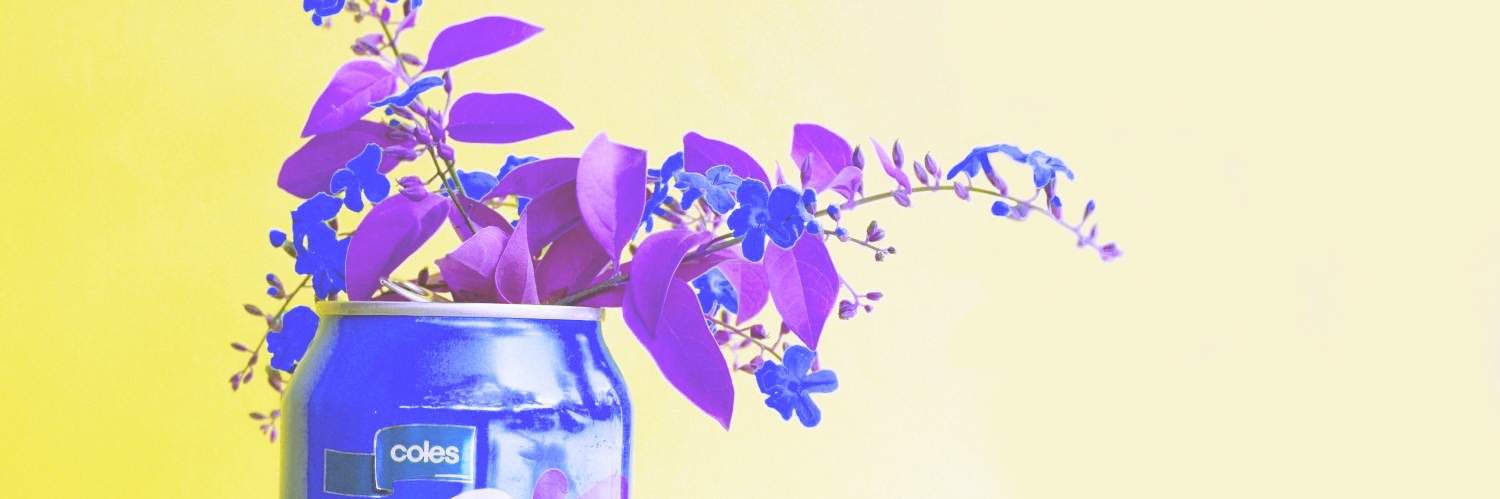 紅芋 banner