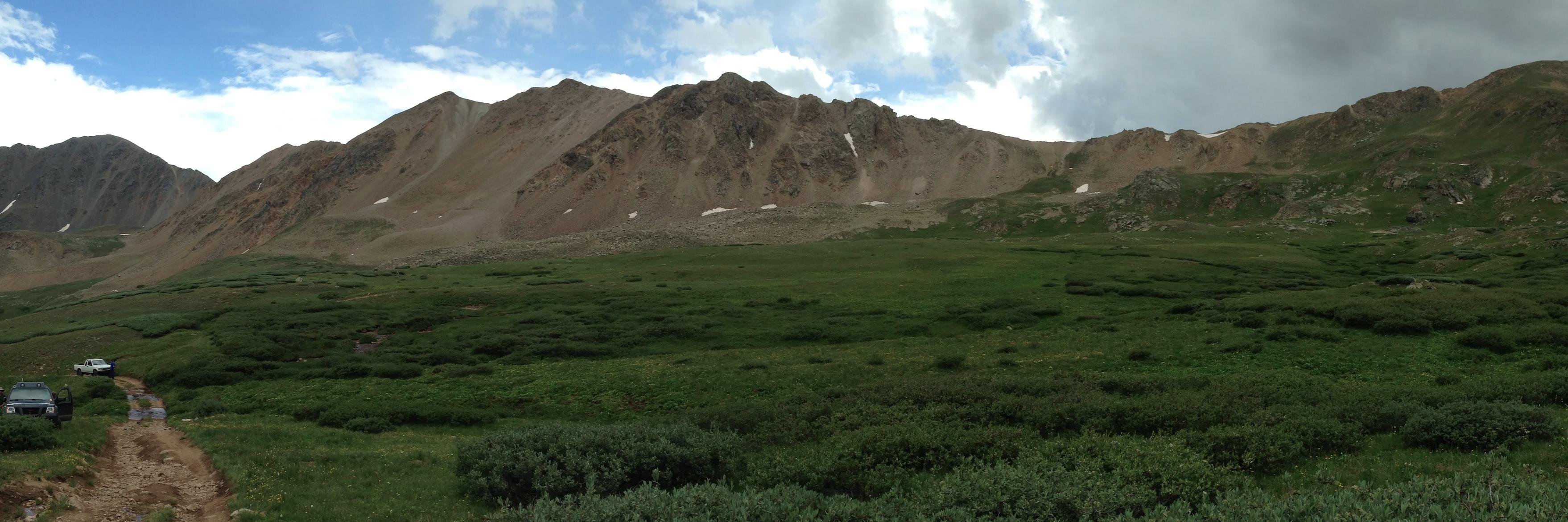 ✊🏾✊🏽✊🏿✊🏻💙💛🌻☮️ banner