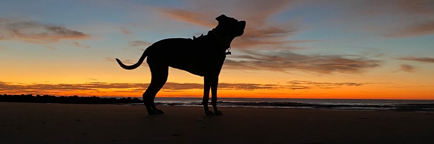 LisaKShortt's profile banner image