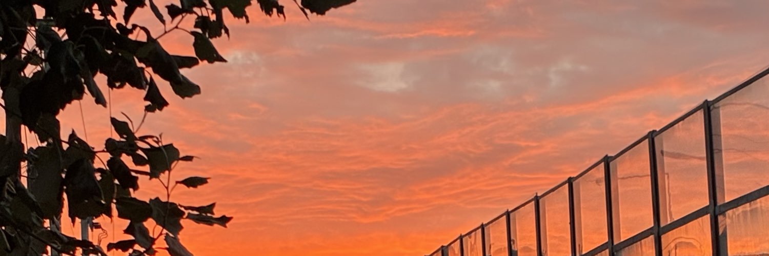 l̷e̷f̷t̷k̷o̷y̷l̷ (MDX) banner