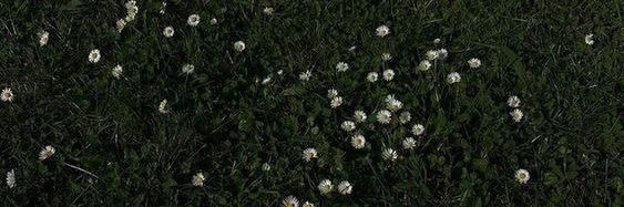 r. banner