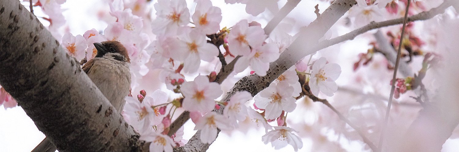 PurYow's profile banner image