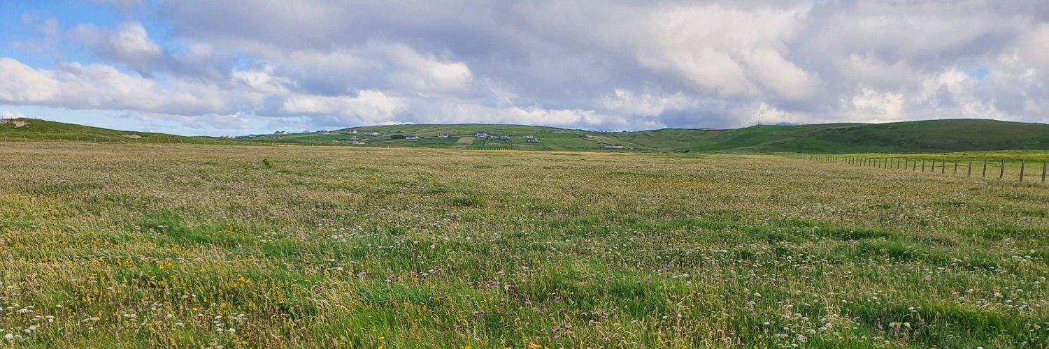 LIFE on Machair / SAOL ar an Mhachaire's banner