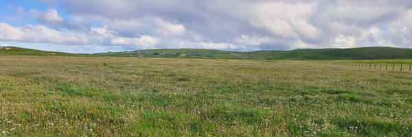 LIFEonMachair Profile Banner