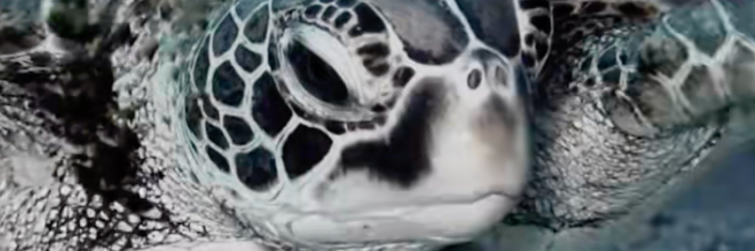 chuggerjugger banner