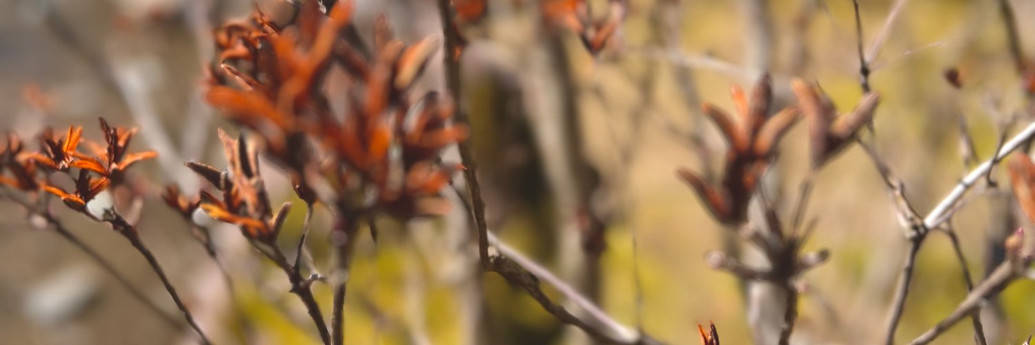 MichaelWalczyk's profile banner image
