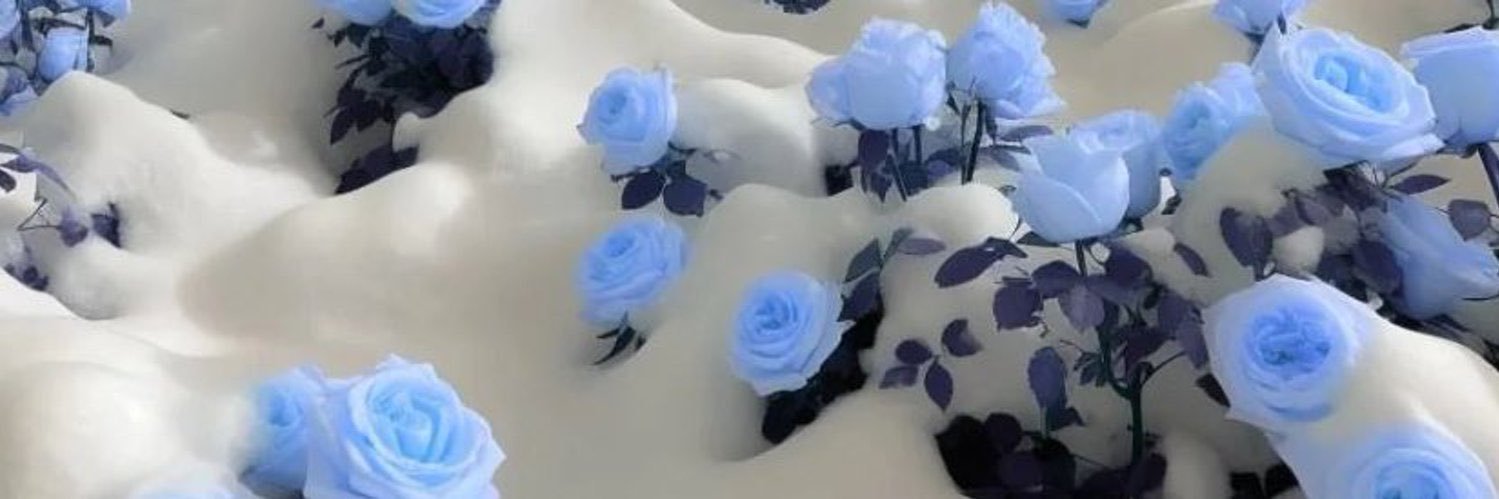ayda🦋 banner