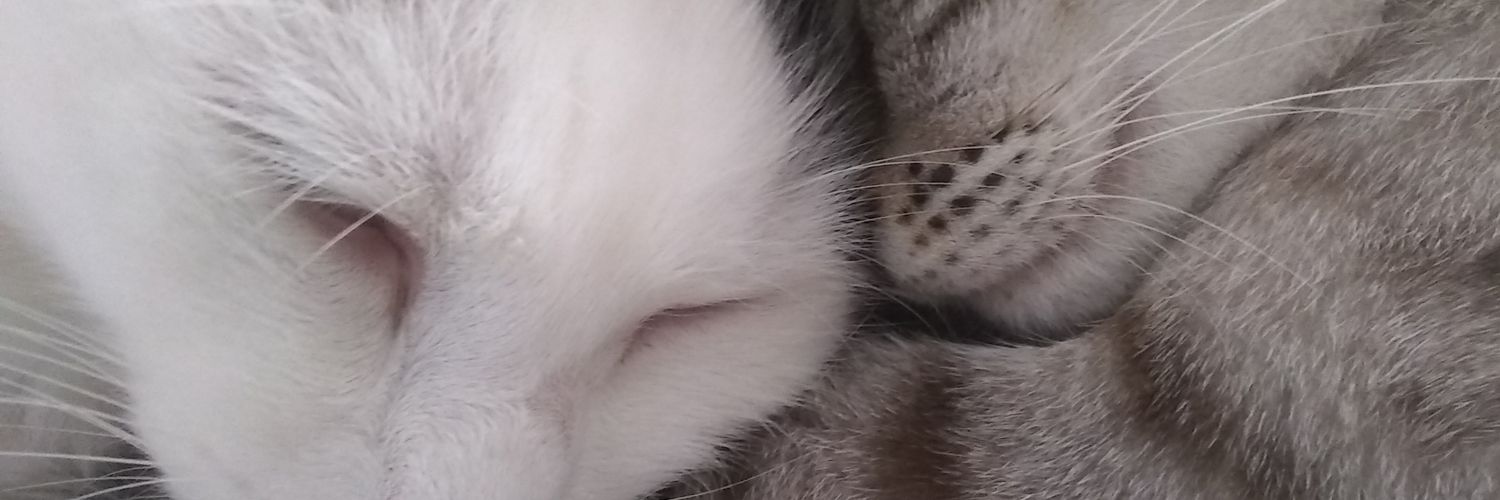 thaioliva's profile banner image