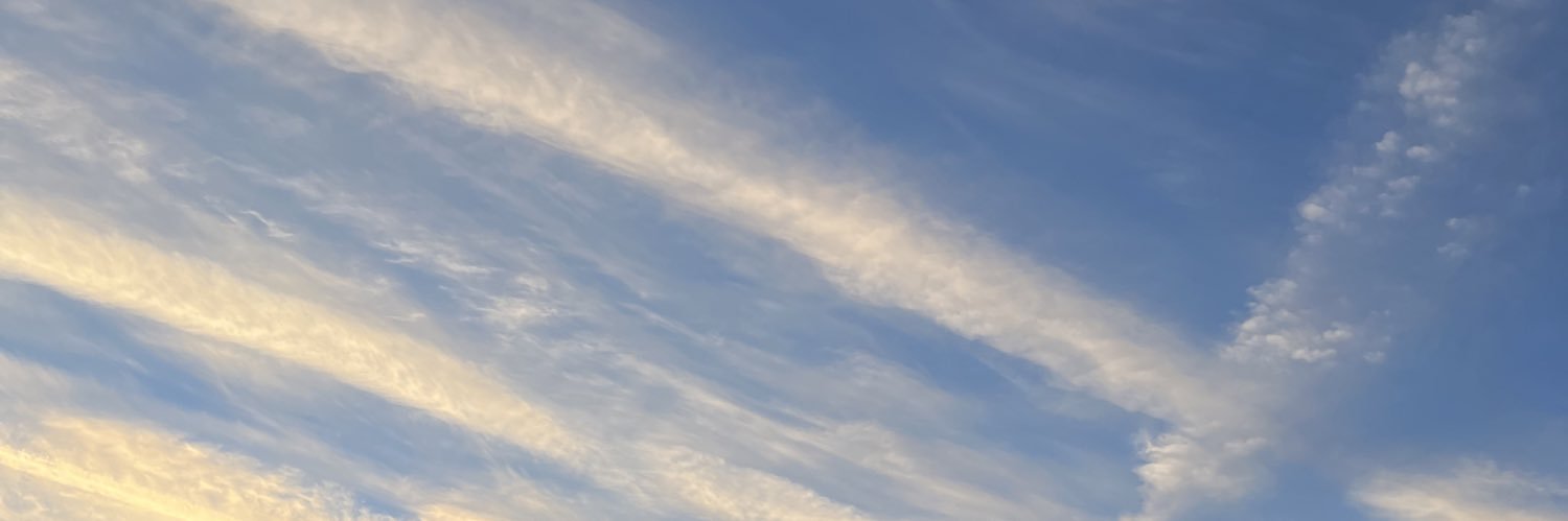 nicole 🩵💫✨ banner