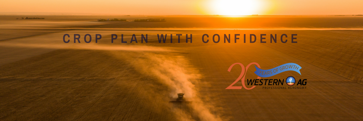 Western Ag banner