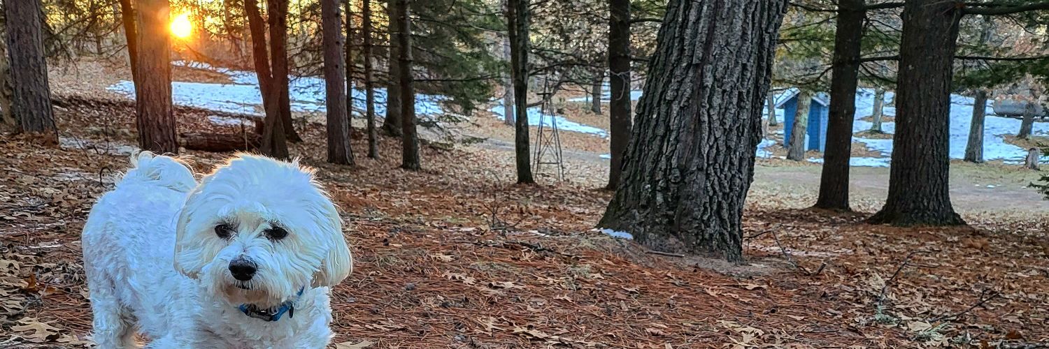 t a m i 🦩 c a b r e r a banner