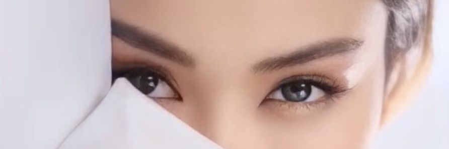 Beagle4523644's profile banner image