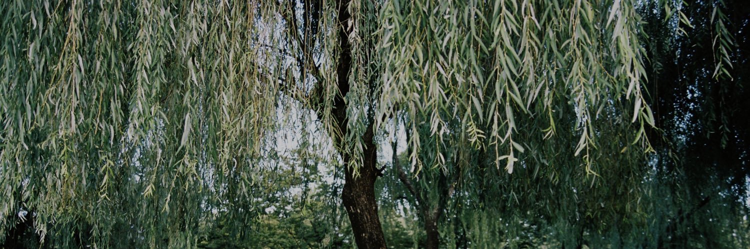 vvddi's profile banner image