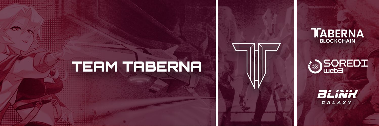 Team Taberna Profile Banner