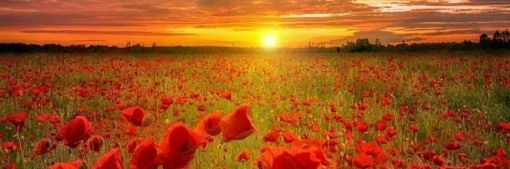 Birgit Verboven banner