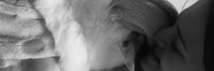 sofi | saw billie banner