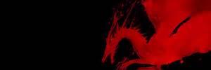 Sonic banner