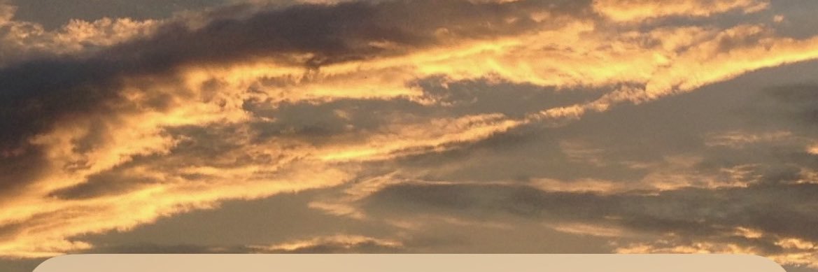SilvanaComin8's profile banner image