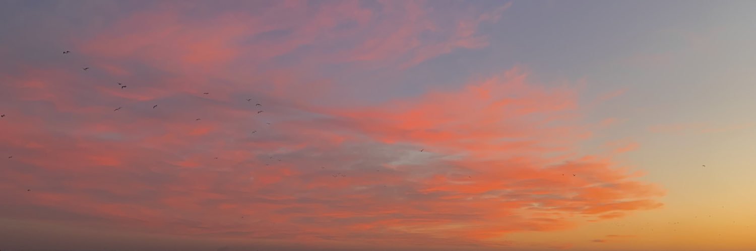 ireemrtnn's profile banner image