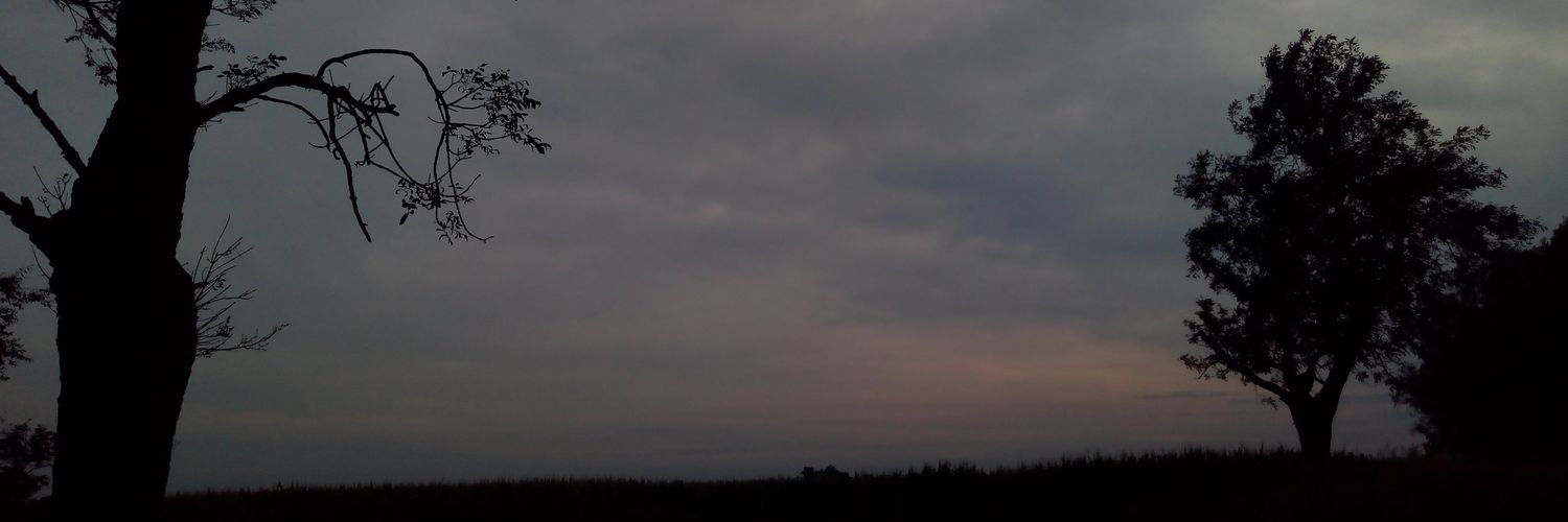 NahuVeronok's profile banner image